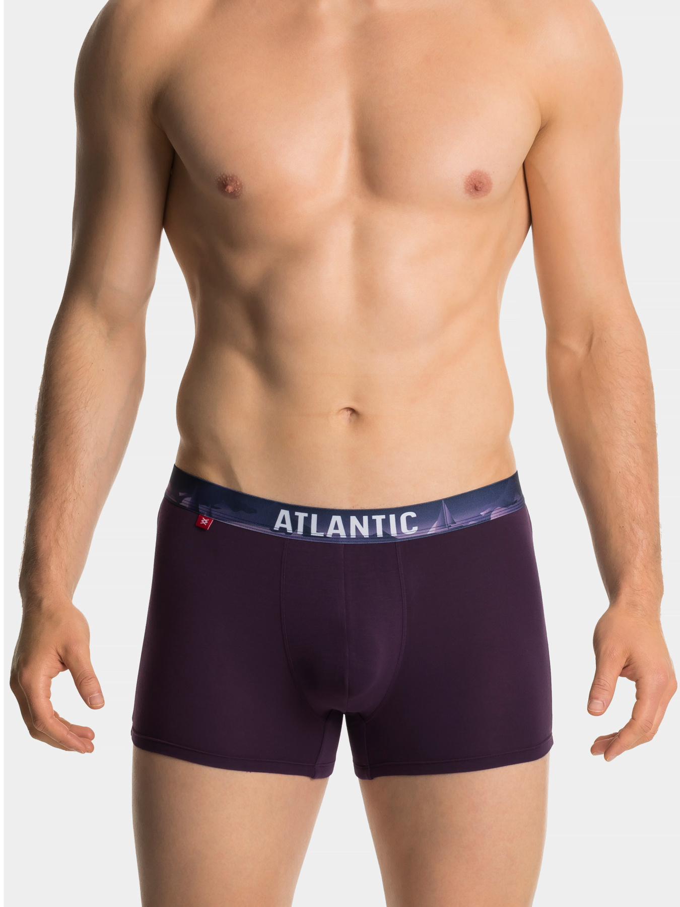 Набір трусів Atlantic модель 3MH-159_CZA_GRF_FIOC Фото