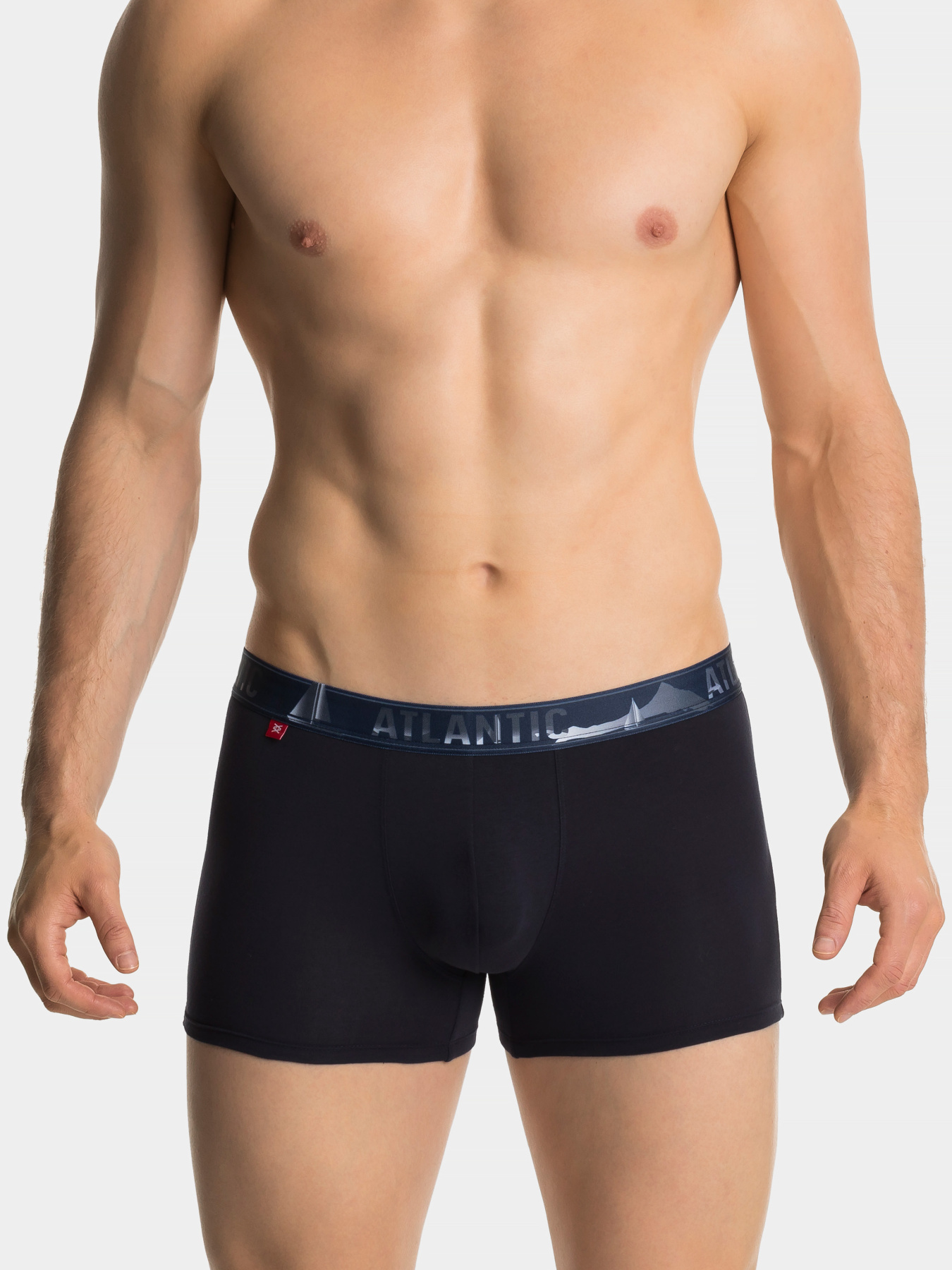 Набір трусів Atlantic модель 3MH-159_GRA Фото