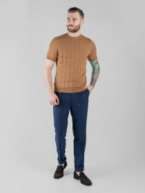 Повседневные штаны Arber модель M01.03.09.212 Фото