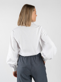 Рубашка повседневная Arber модель W05.01.00.211 Фото