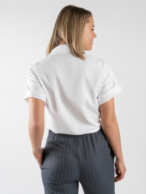 Сорочка повсякденна Arber модель W04.01.01.221 Фото