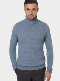 Водолазка Arber модель AF10.36.40 Фото