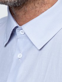 Сорочка Arber модель AG04.21.20 Фото