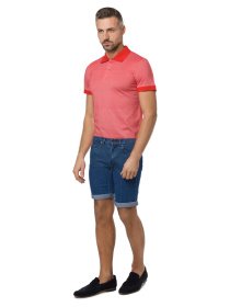 Шорты джинсовые Arber модель AG16.09.10 Фото