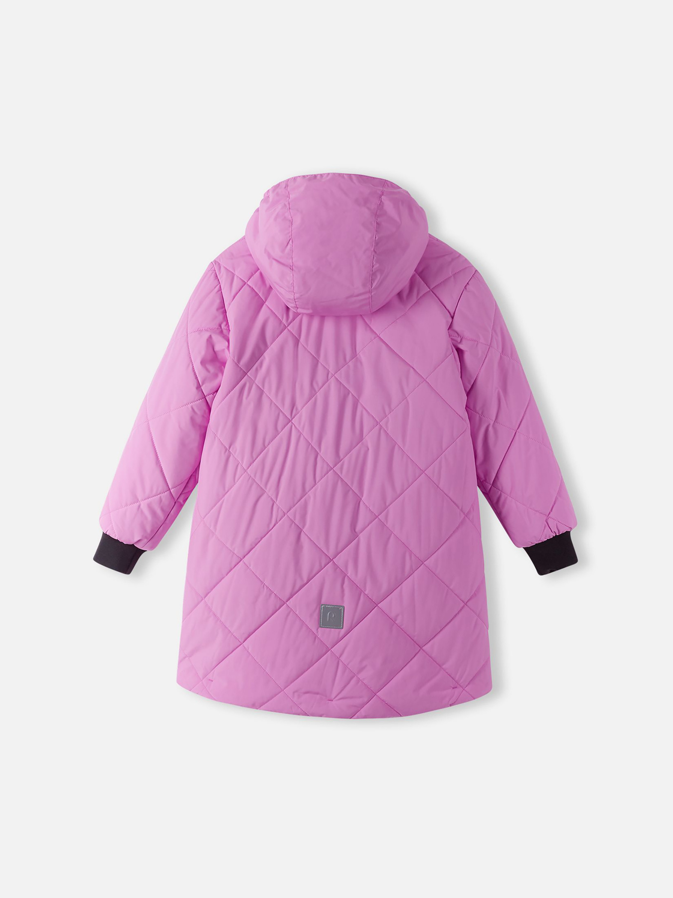 Демисезонная куртка REIMA модель 5100066A_4700 Фото