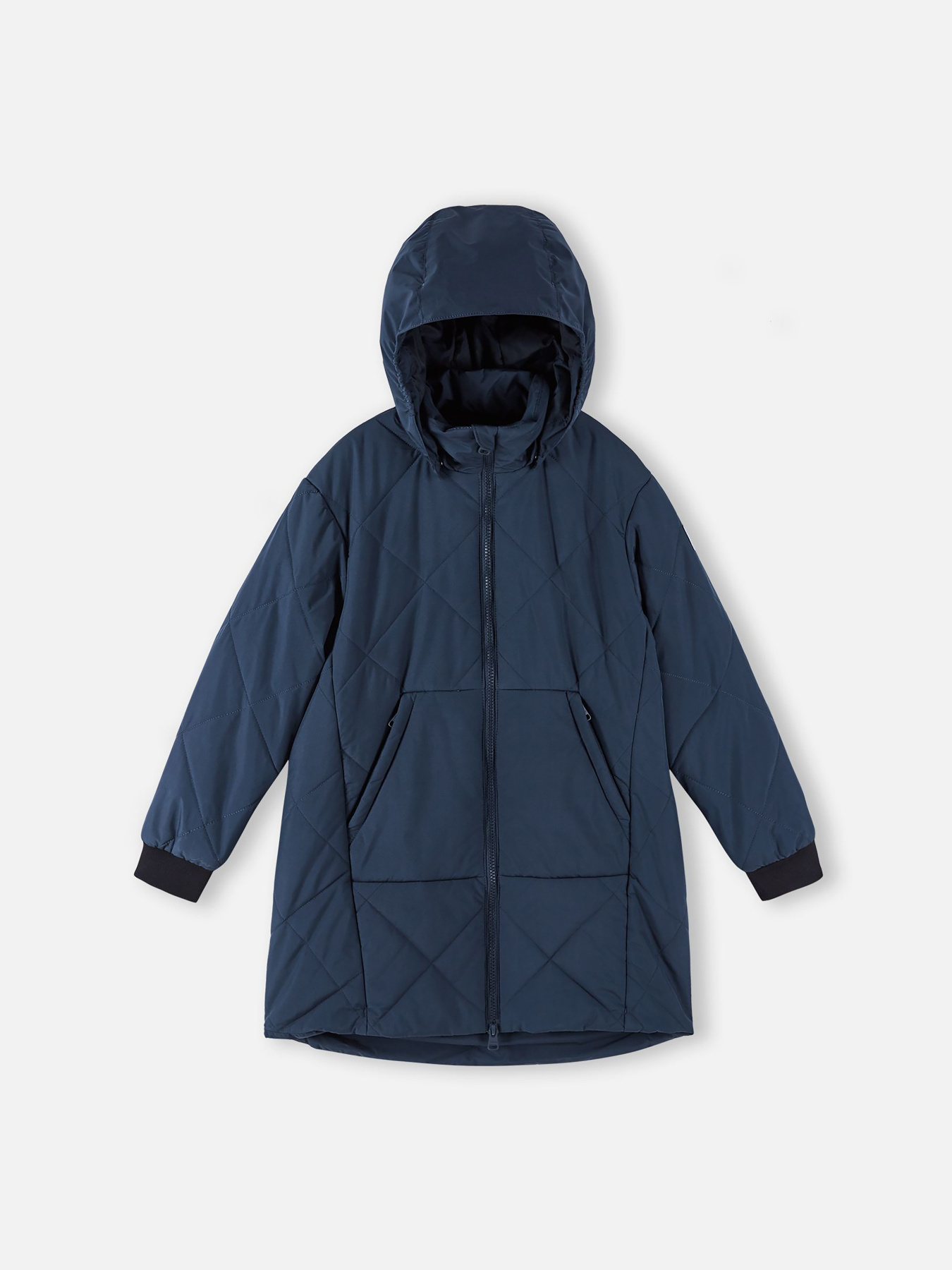 Демисезонная куртка REIMA модель 5100066A_6980 Фото