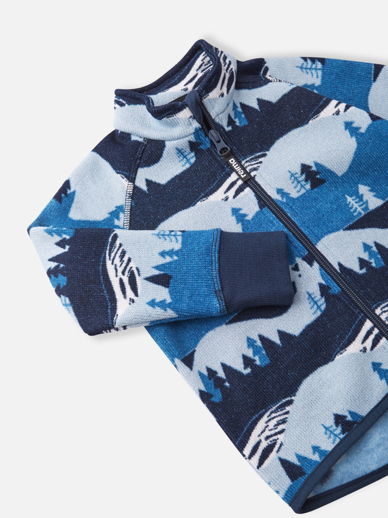 Флисовая кофта REIMA модель 5200043A_6851 Флисовая кофта REIMA модель 5200043A_6851 Фото