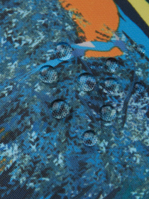 Комбинезоны LASSIE модель 720754R-6962 Фото