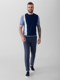 Брюки повседневные Arber модель G01.24.06.222 Фото