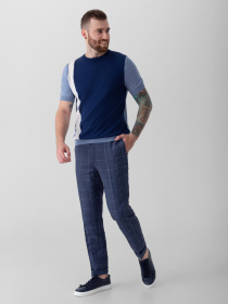 Брюки повседневные Arber модель G01.24.06.222 Фото