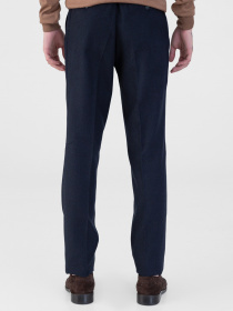 Повседневные штаны Arber модель M01.20.09.233 Фото