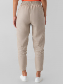 Повсякденні штани Arber модель W01.07.16.223 Фото