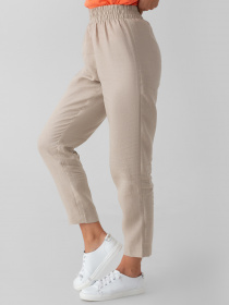 Повсякденні штани Arber модель W01.07.16.223 Фото