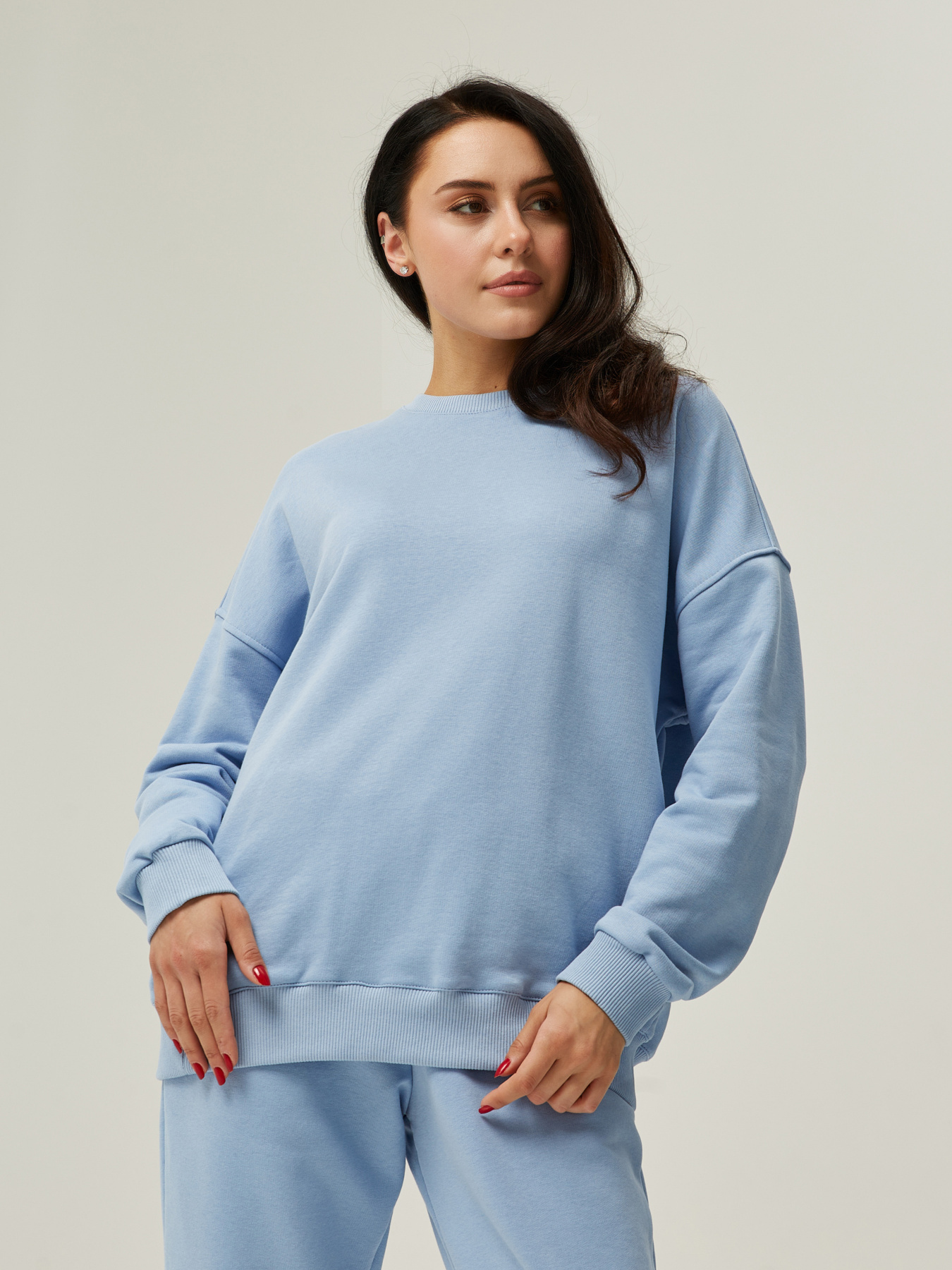 Світшот Feel and Fly модель 2320552 Фото