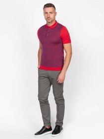 Поло Arber модель AJ09.20.10 Фото