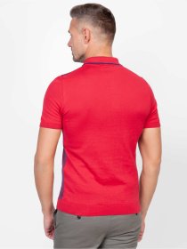 Поло Arber модель AJ09.20.10 Фото