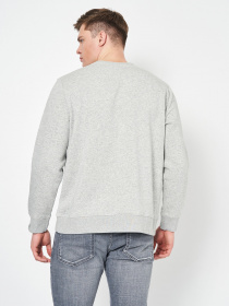 Свитшот H&M модель 63852 Фото