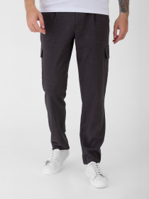 Повсякденні штани Arber модель F01.05.12.231 Фото