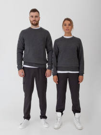 Свитшот Arber модель F10.06.12.232 Фото