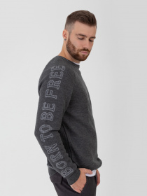 Свитшот Arber модель F10.06.12.232 Фото