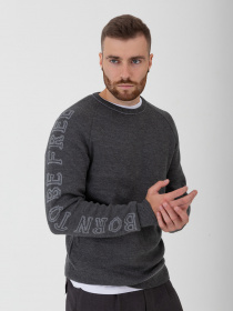 Свитшот Arber модель F10.06.12.232 Фото