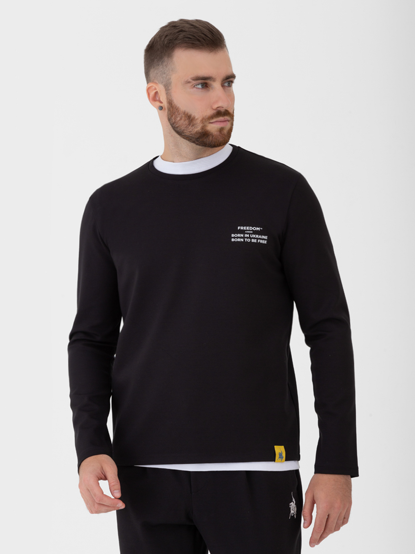 Джемпер Arber модель F17.06.02.231 Фото