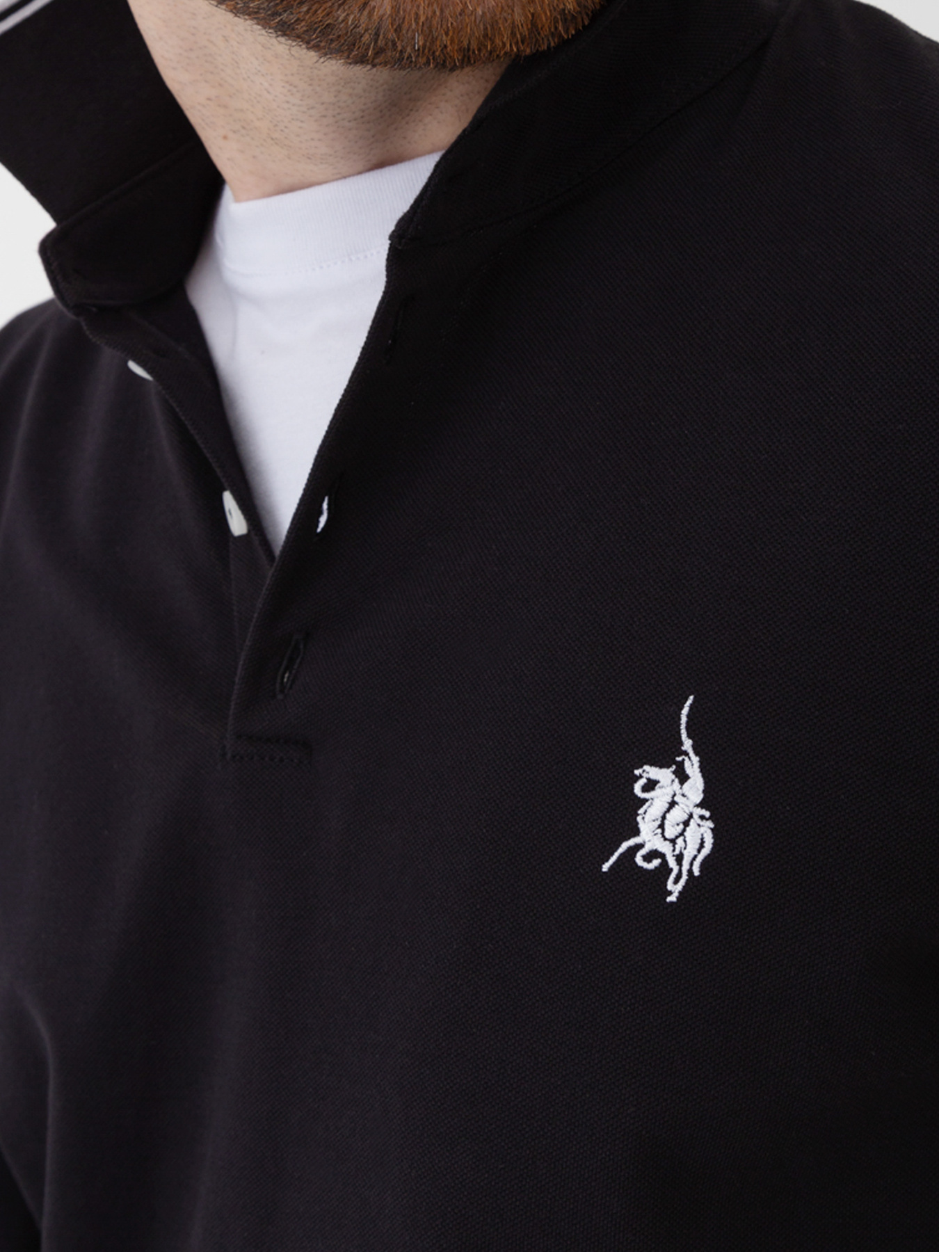 Поло Arber модель F17.12.02.231 Фото