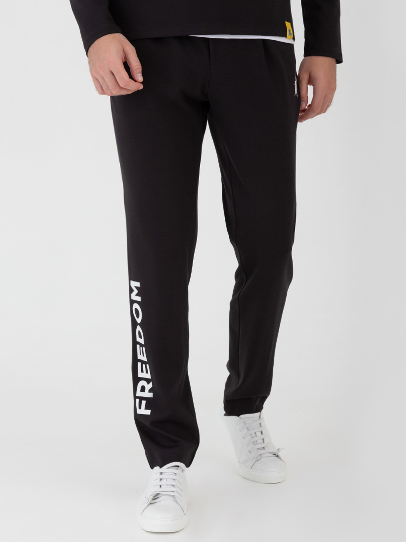 Брюки повседневные Arber модель F26.06.02.231 Фото