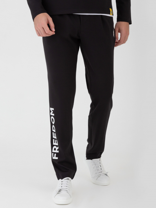 Брюки повседневные Arber модель F26.06.02.231 Фото