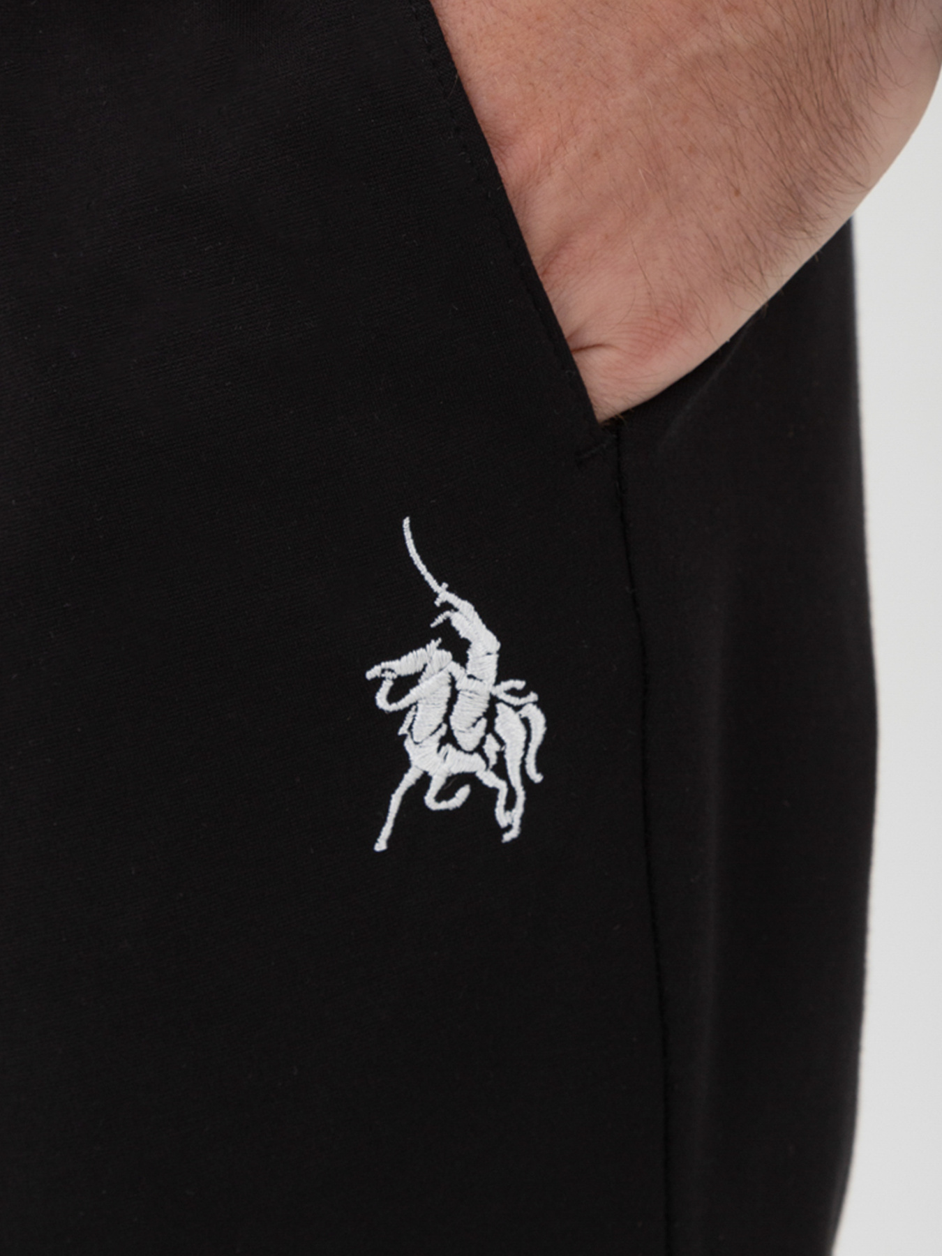 Повсякденні штани Arber модель F26.06.02.231 Фото