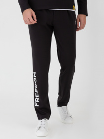 Повсякденні штани Arber модель F26.06.02.231 Фото