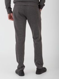 Брюки повседневные Arber модель F26.11.12.231 Фото