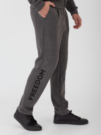 Брюки повседневные Arber модель F26.11.12.231 Фото