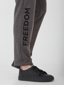 Брюки повседневные Arber модель F26.11.12.231 Фото