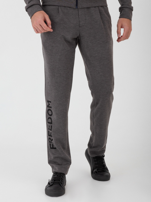 Брюки повседневные Arber модель F26.11.12.231 Фото