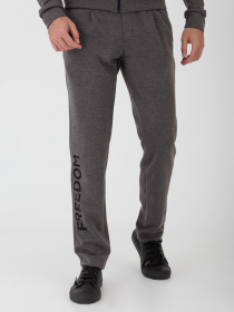 Повсякденні штани Arber модель F26.11.12.231 Повсякденні штани Arber модель F26.11.12.231 Фото