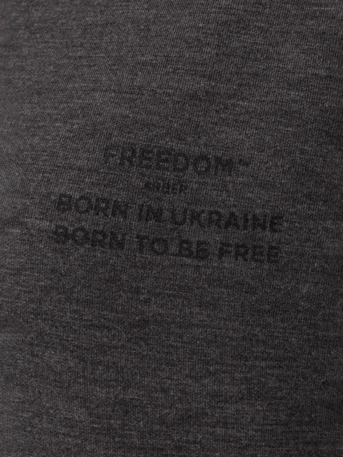 Свитшот Arber модель FW17.02.12.23 Фото