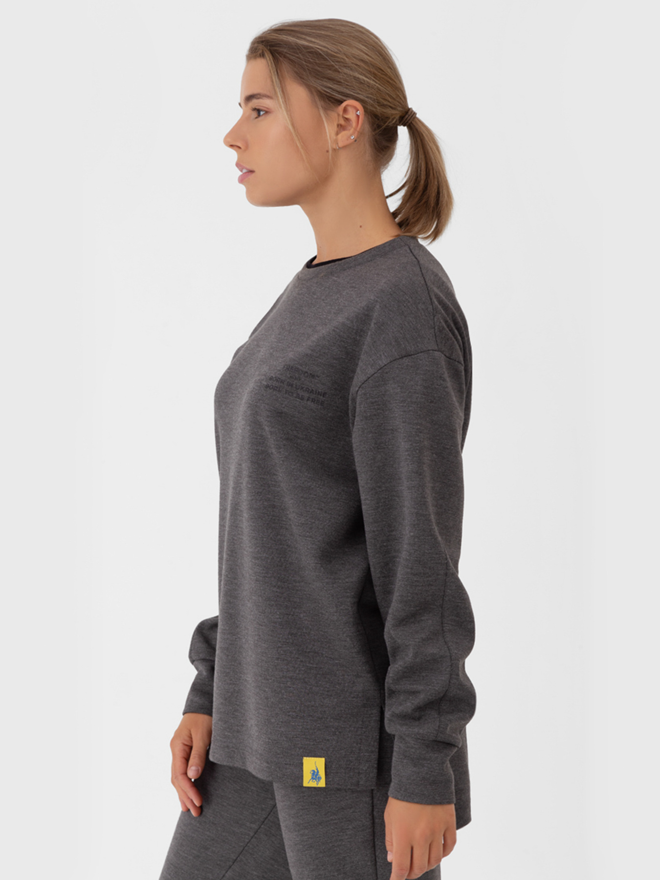 Свитшот Arber модель FW17.02.12.23 Фото