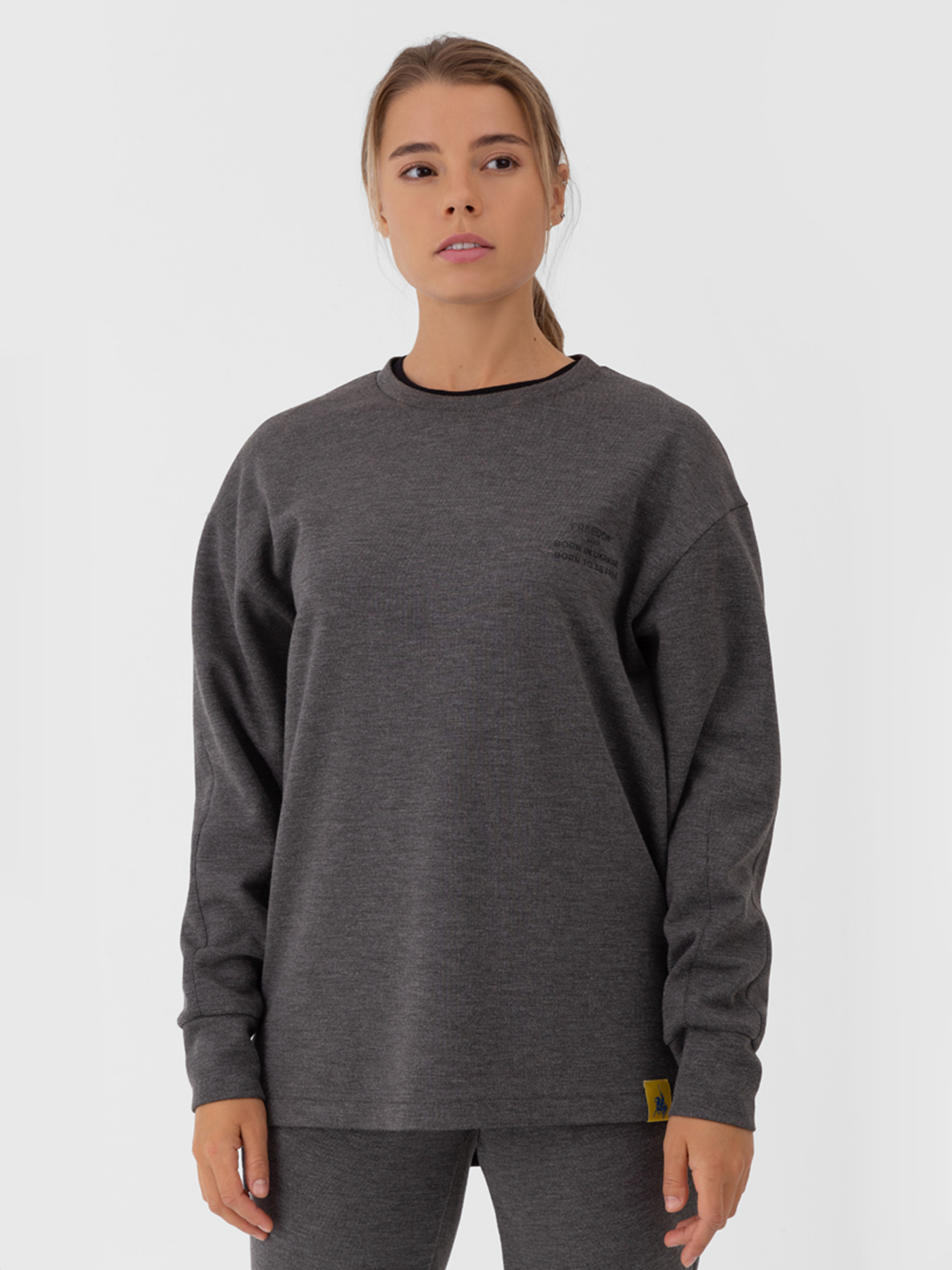 Свитшот Arber модель FW17.02.12.23 Фото