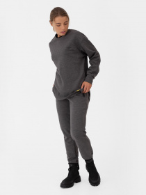 Свитшот Arber модель FW17.02.12.23 Фото