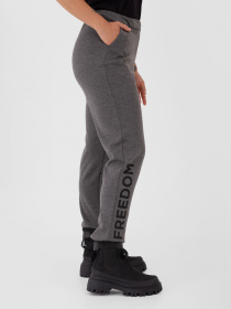 Повсякденні штани Arber модель FW26.01.12.23 Фото