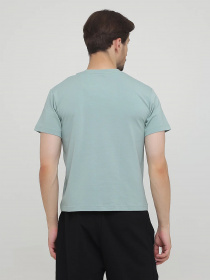 Футболка Chikiss модель CMV002-006 Фото