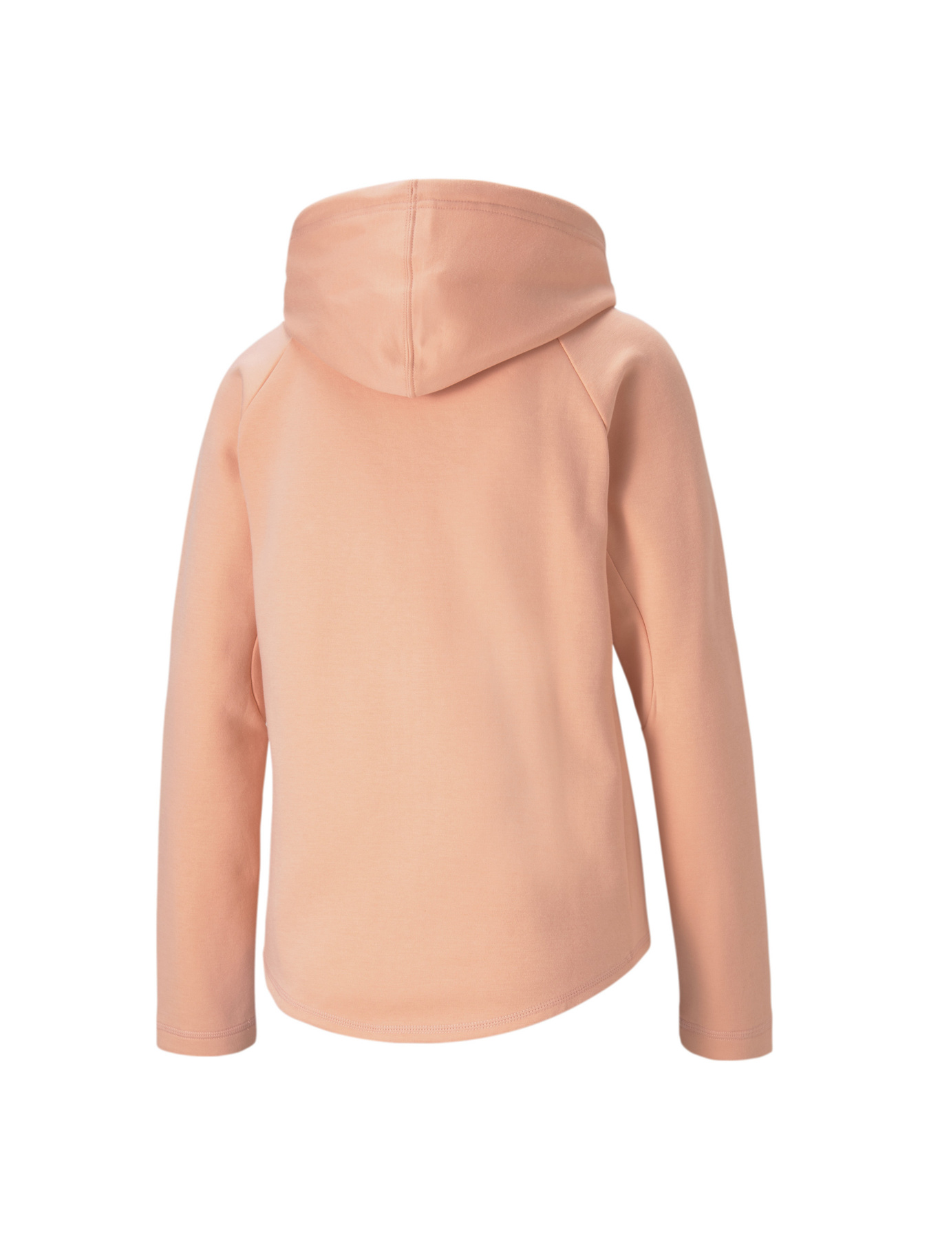 Кофта спортивная PUMA Evostripe Full-zip Hoodie модель 585945 Фото