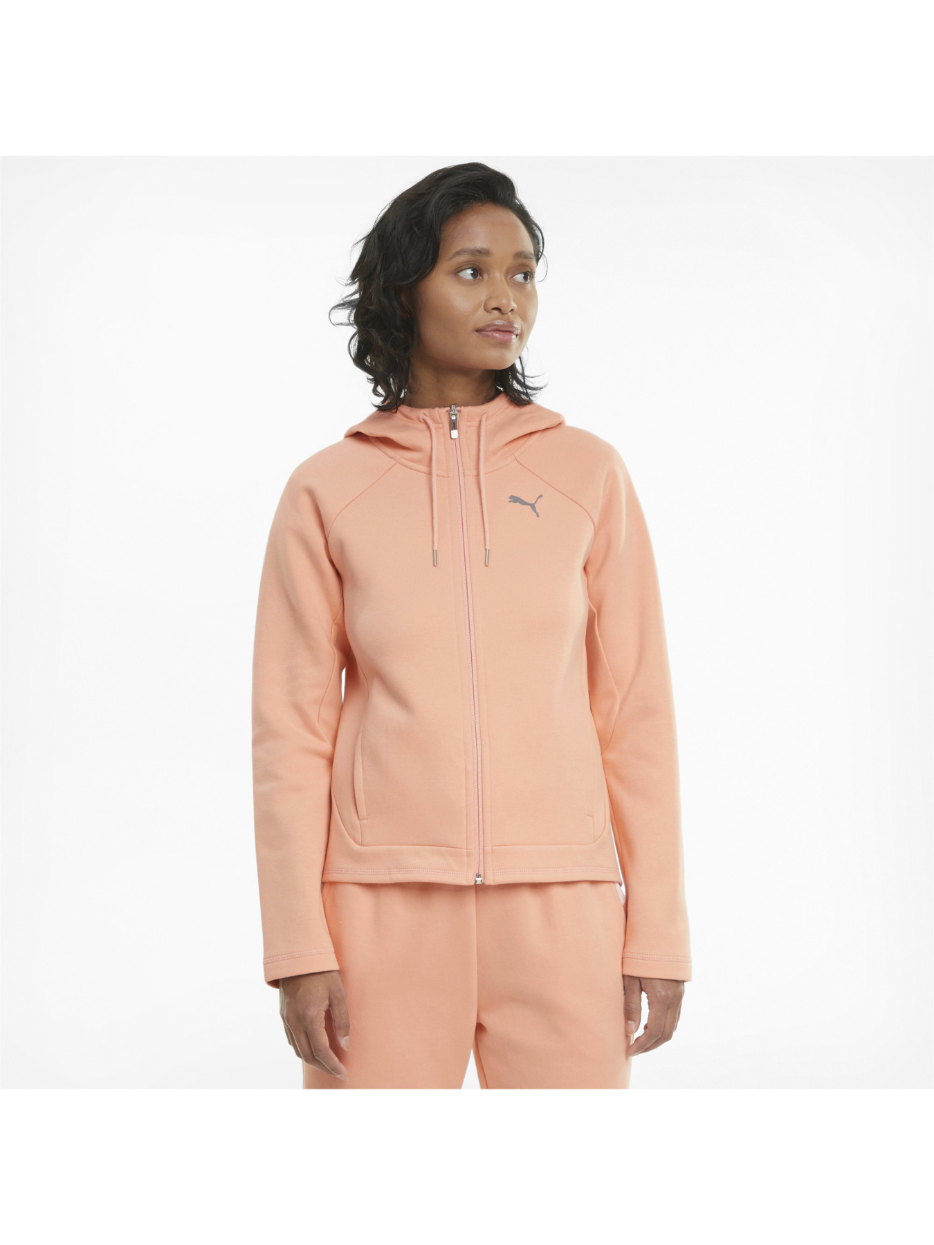 Кофта спортивная PUMA Evostripe Full-zip Hoodie модель 585945 Фото