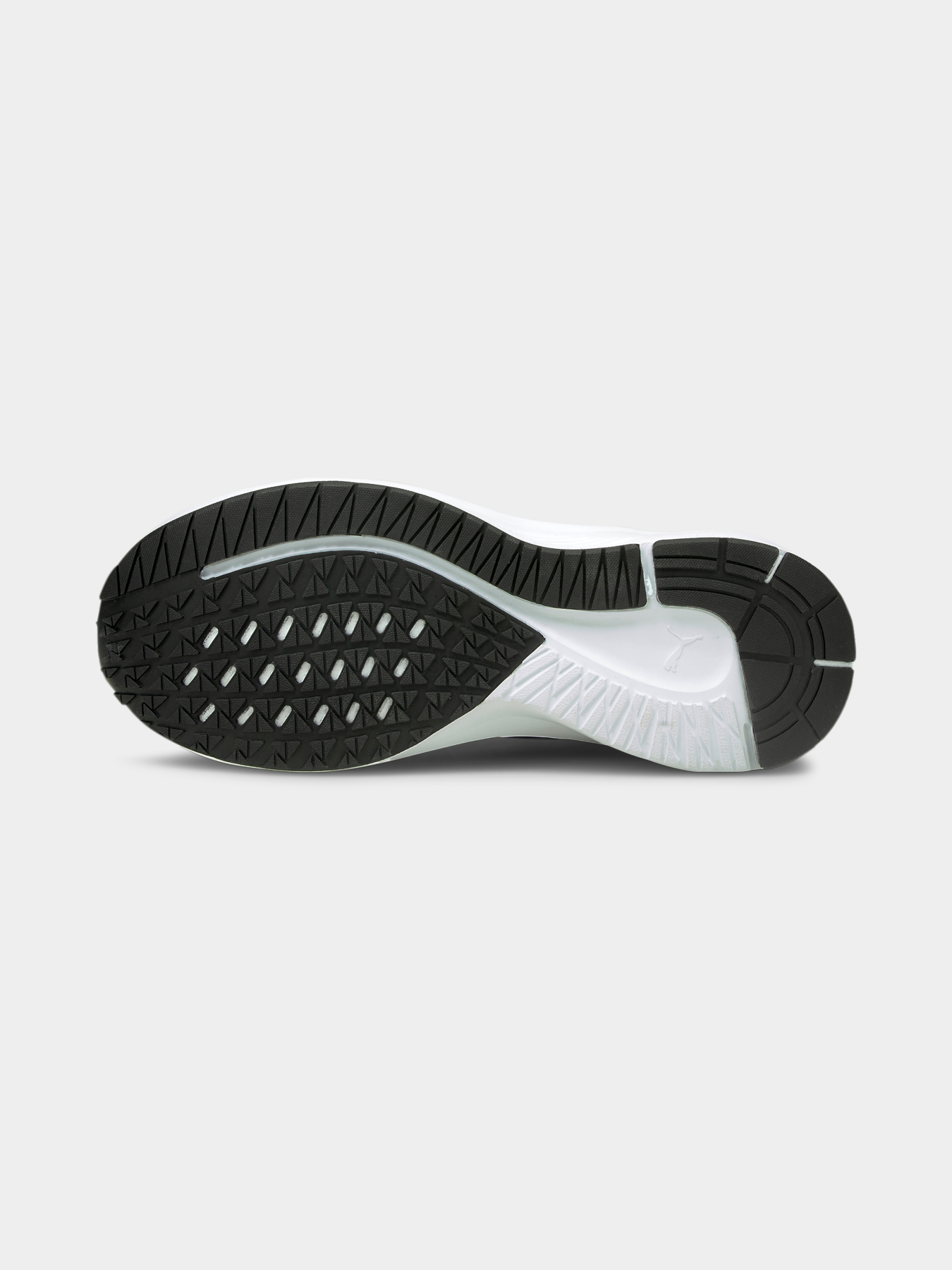 Кросівки PUMA Aviator модель 195175 Фото