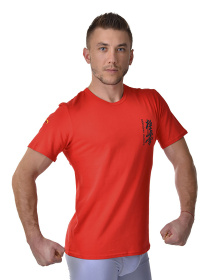 Футболка спортивная Berserk Sport модель KyokushinRedTSHRT Фото