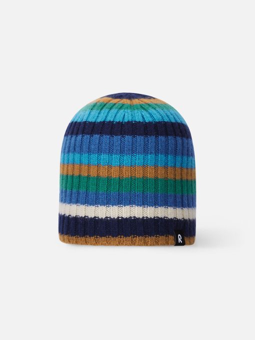 Шапка REIMA модель 5300082A_6981 Фото