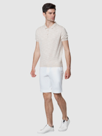 Шорты Arber модель AL01.49.25 Фото