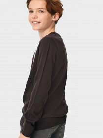 Джемпер C&A модель 66647 Джемпер C&A модель 66647 Фото