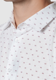 Сорочка повсякденна Arber модель AL04.14.24 Фото